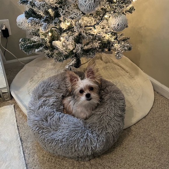 Hi fellow Poshers 💗 My name is Michelle 💗 - Picture 1 of 4